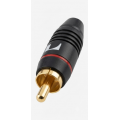 Kištukas RCA Gold raudonas Nakamichi